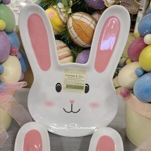 X4 Easter Bunny Melamine Salad Appetizer Dessert Plate Set